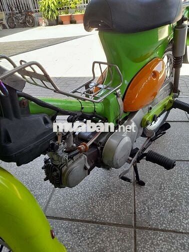 Honda Cub 81 Xanh lá, Cam