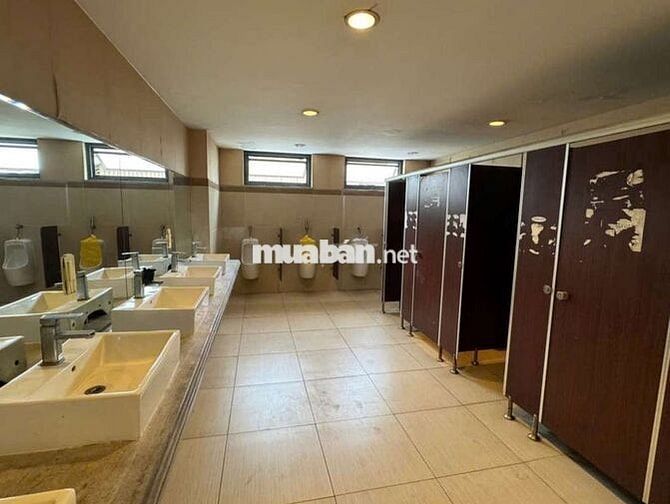 CHO THUÊ MBKD 1300M2 ĐẾN 5000M2 NGAY LẠC LONG QUÂN TÂN BÌNH