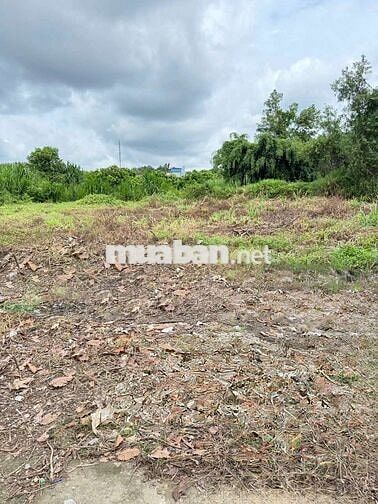 Bán gấp đất thổ cư Tân Phú Đồng Nai 1520m2 sổ riêng