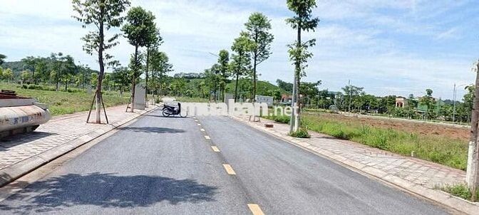 CẦN BÁN LÔ ĐẤT NỀN DỰ ÁN TNR LAM SƠN – THANH HÓA