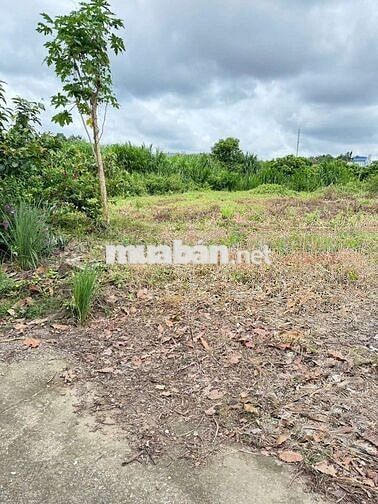 Bán gấp đất thổ cư Tân Phú Đồng Nai 1520m2 sổ riêng