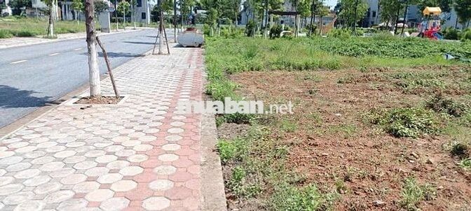CẦN BÁN LÔ ĐẤT NỀN DỰ ÁN TNR LAM SƠN – THANH HÓA