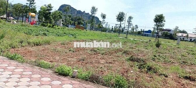 CẦN BÁN LÔ ĐẤT NỀN DỰ ÁN TNR LAM SƠN – THANH HÓA