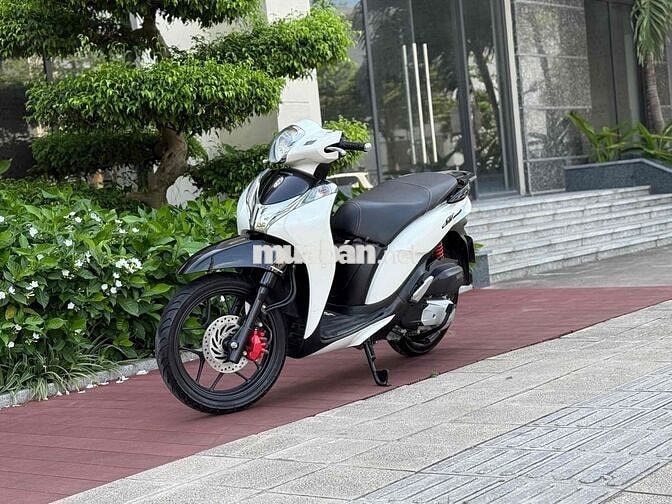 Shmode Sporty 2019 thể thao đẹp chất lượng Sh mode