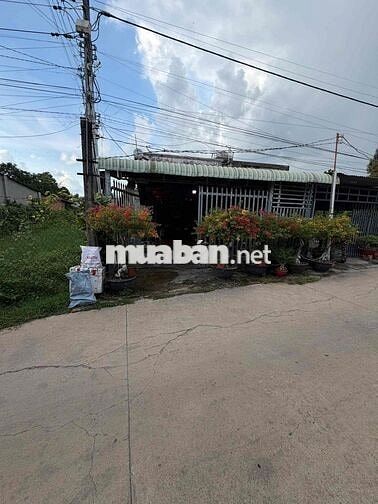 Nhà ngay Chợ 6x25 Full thổ trung tâm Phường Gò Dầu kinh doanh được