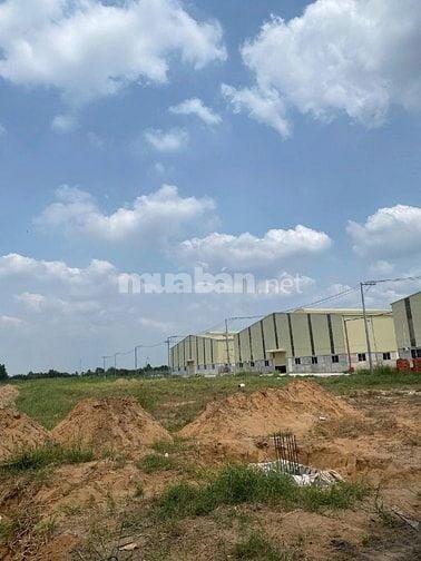 Cần bán 5.000m2 đất trong KCN Hòa Bình Long An giá từ 26 tỷ