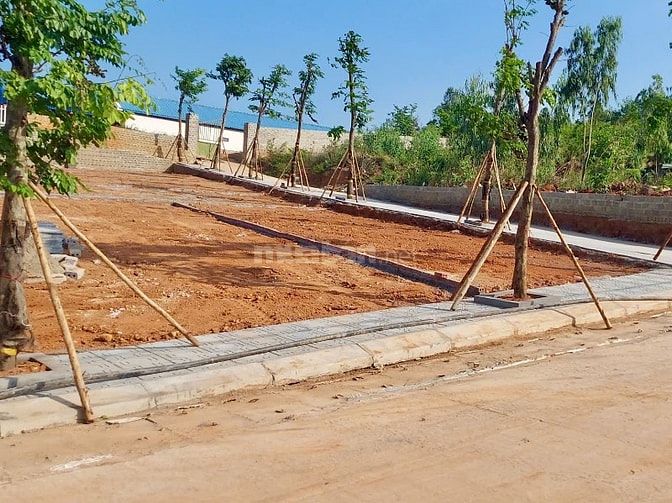 🔥 CHÍNH CHỦ BÁN ĐẤT GIÁP VIN HẠ LONG XANH – GIÁ CHỈ TỪ 2TỶ 