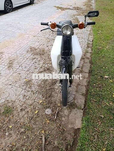 Honda Cub Trắng, xanh rêu