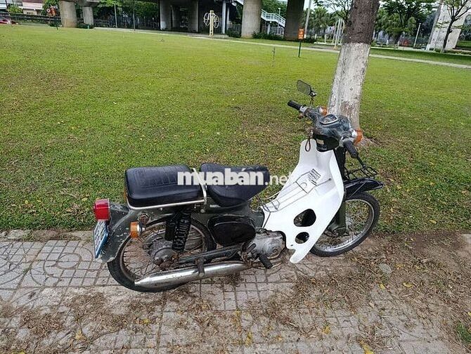 Honda Cub Trắng, xanh rêu