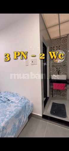 Nhà Gò Vấp P8, Gần Công Viên Làng Hoa, Cần Bán Chính Chủ 