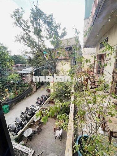 Bán CC Mini Quan Nhân, Thanh Xuân Mới Tinh, Ô tô đỗ, Siêu Rộng Căn Góc