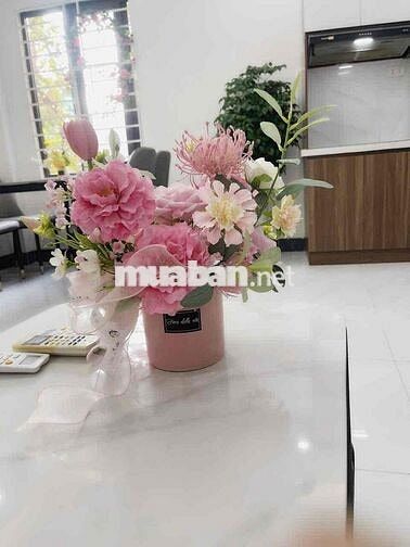 Bán CC Mini Quan Nhân, Thanh Xuân Mới Tinh, Ô tô đỗ, Siêu Rộng Căn Góc