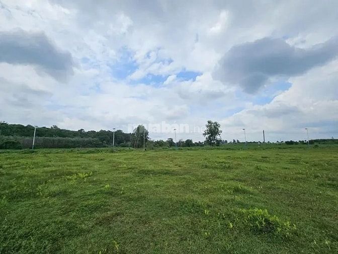Công ty Đấu giá hợp danh Lam Sơn Sài Gòn THÔNG BÁO ĐẤU GIÁ TÀI SẢN