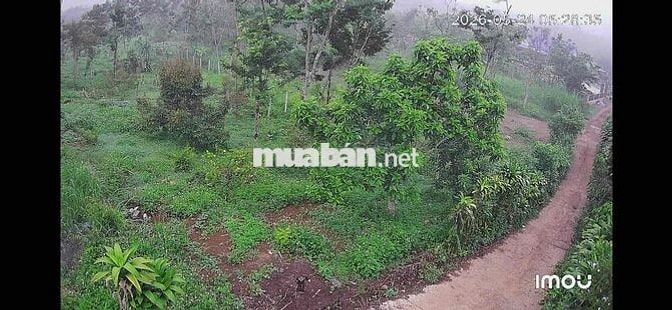 chỉ 186tr có ngay lô thổ cư ven bảo lộc, lâm đồng
