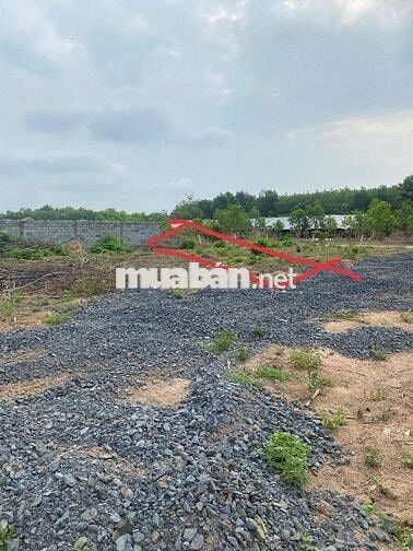 Cần đầu tư kinh doanh gấp, cần bán đất 210 triệu 130m2 Trảng Bom
