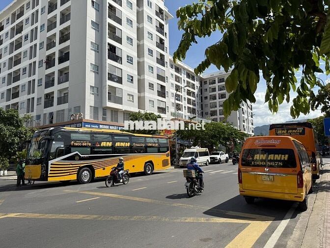 [NHA TRANG] CẦN TÀI XẾ TRUNG CHUYỂN HÀNH KHÁCH
