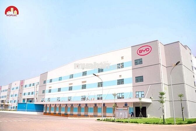 GẤP Tuyển công nhân BYD – KCN PHÚ HÀ, PHÚ THỌ