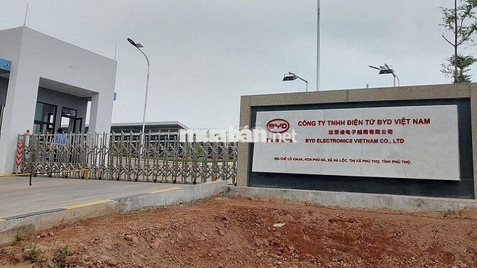 GẤP Tuyển công nhân BYD – KCN PHÚ HÀ, PHÚ THỌ