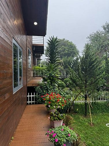 Nhà gỗ 2PN Khu nghỉ dưỡng Tropicana gần Dambri sổ full thổ cư 