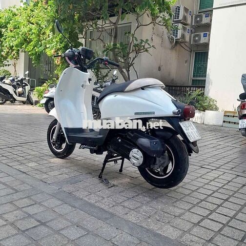 DAELIMI 50cc