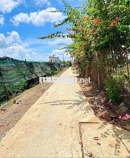Hàng Thơm, chỉ 580tr sở hữu 89.6m2 đất thổ KDC Mỹ Lộc