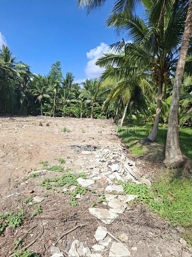 Bán đất nền thổ cư lộ đan 2m trước đất 