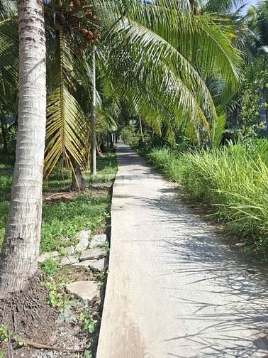 Bán đất nền thổ cư lộ đan 2m trước đất 