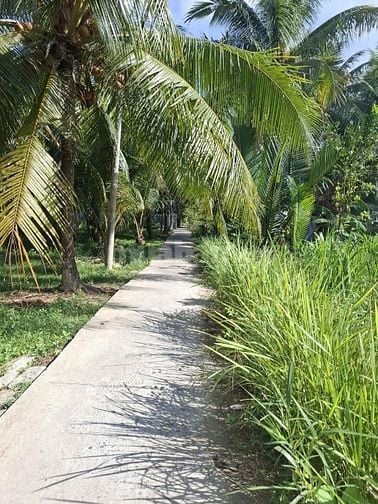 Bán đất nền thổ cư lộ đan 2m trước đất 