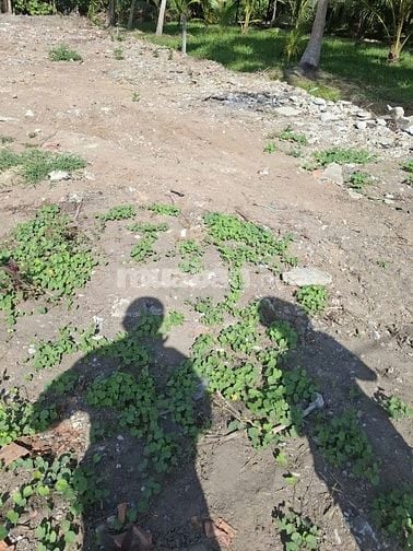 Bán đất nền thổ cư lộ đan 2m trước đất 