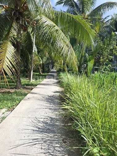 Bán đất nền thổ cư lộ đan 2m trước đất 