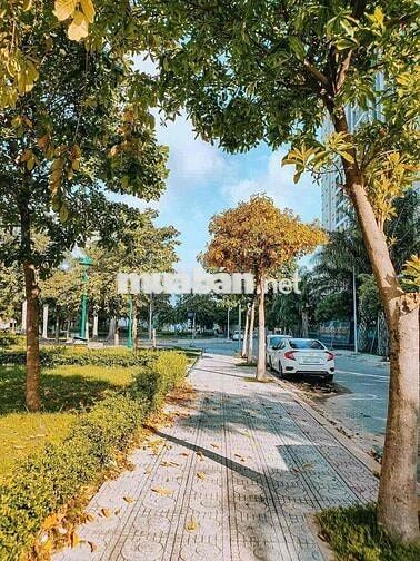 cho thuê CH Theparkland giá 7tr5  HĐ dài hạn nhà sạch mới  view cvien