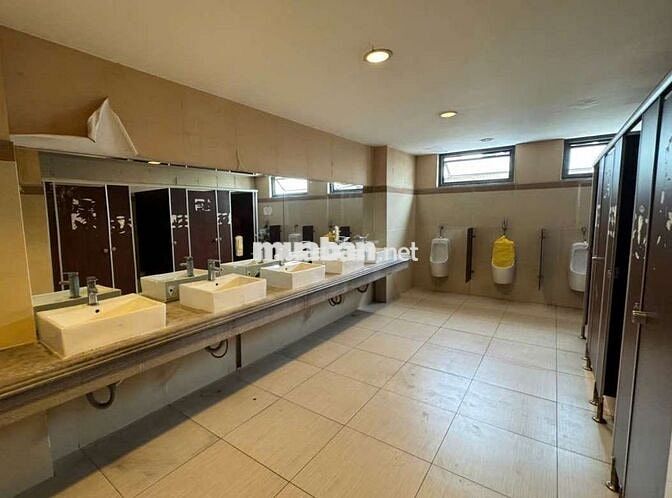 CHO THUÊ MBKD 1000M2 ĐẾN 5000M2 LẠC LONG QUÂN TÂN BÌNH CÓ CHO THUÊ LẺ