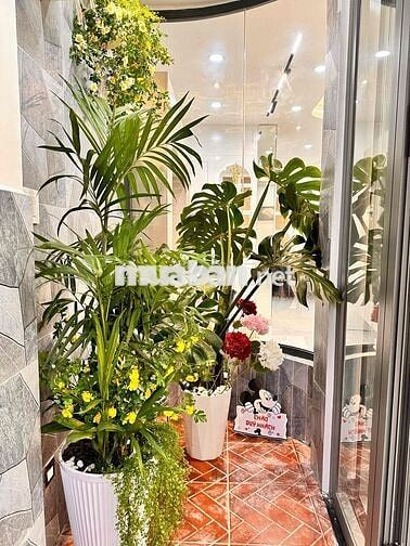 🏠 Nhà Phú Nhuận khu Phan Xích Long - Diện tích: 4,2 x 15m - 3PN - 7 ty