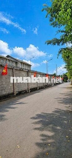 CẦN BÁN LÔ ĐẤT THỔ CƯ VÀ VƯỜN – ĐƯỜNG SỐ 9, HIỆP BÌNH PHƯỚC, THỦ ĐỨC
