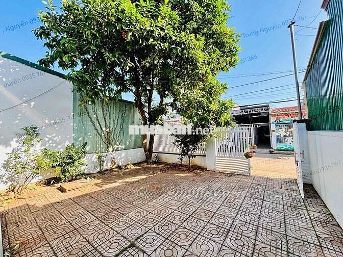 CHO THUÊ NHÀ - MẶT TIỀN SỐ 77 LƯƠNG VĂN CAN - SỐ 126/55 Y MOAN CŨ