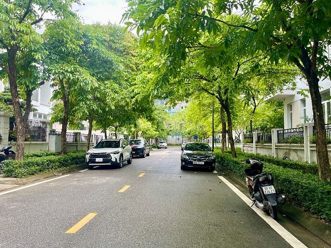 Chính chủ cho thuê Biệt thự lô góc khu C Ciputra 220m2 giá 65tr/tháng