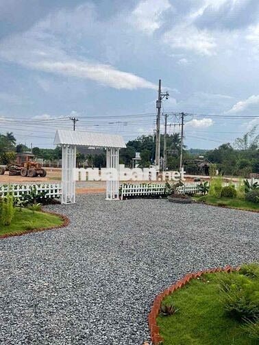 Vợ Chồng Mình Cần Bán Mảnh Vườn 1000m2 bao sang sổ
