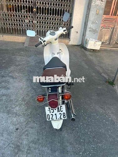 Honda Cup 50cc 2020 Trắng