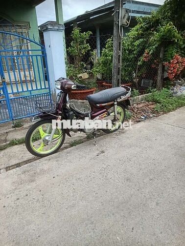 Honda City SIVA HADO 100 
