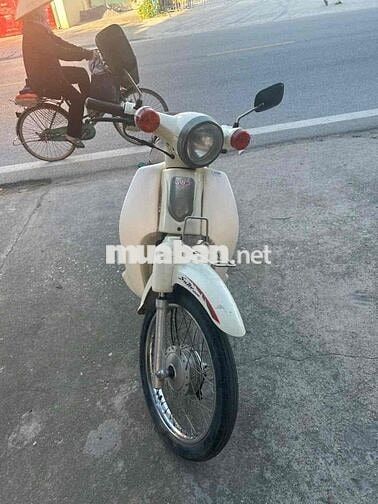 Honda Cup 50cc 2020 Trắng