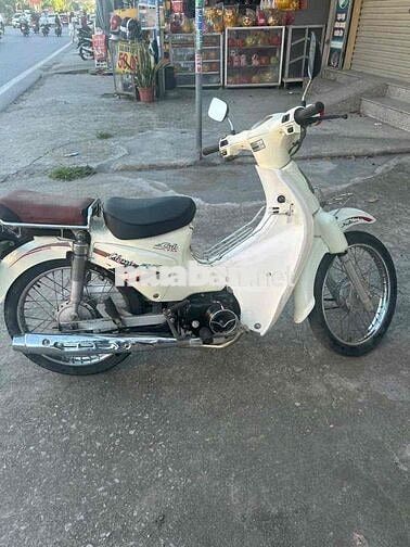 Honda Cup 50cc 2020 Trắng