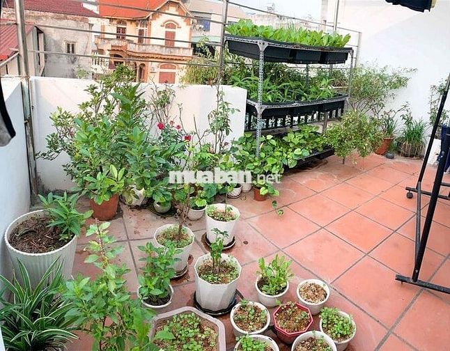 chính chủ cho thuê nhà 4Tang Quang Tiến, gần Vinsmart city