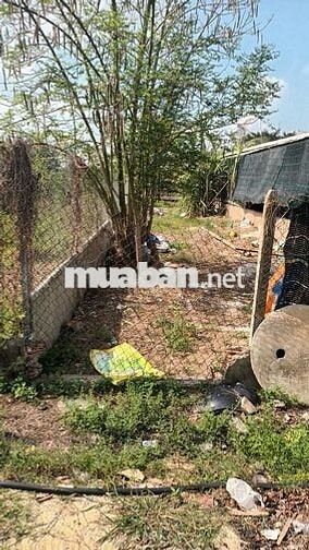 Cần bán lô đất 206m2 ngay kp An Đước, Trảng Bàng.SHR, giá 765 triệu