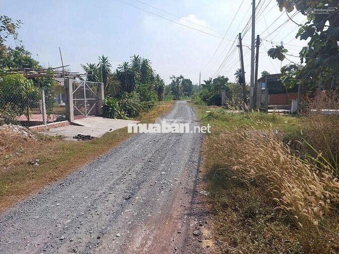 bán nhanh lô đất 201m2 ngay kp Lộc An, Trảng Bàng. SHR, giá 800 triệu