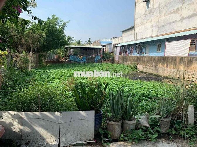 Đất Phước Lý, Cần Giuộc, 5x20, full thổ cư