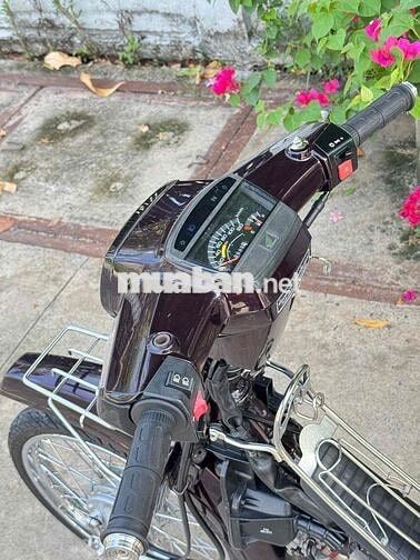 Honda Dream Thái 54 redleo