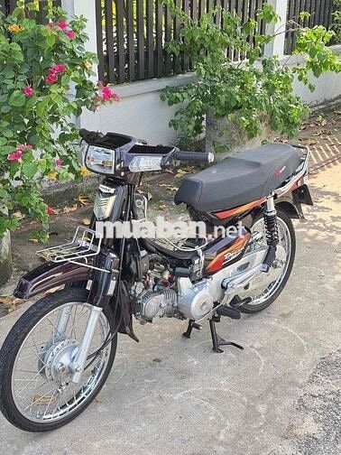Honda Dream Thái 54 redleo