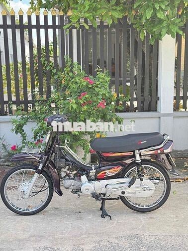 Honda Dream Thái 54 redleo