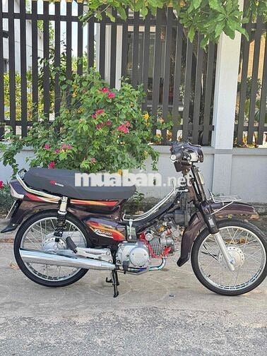 Honda Dream Thái 54 redleo