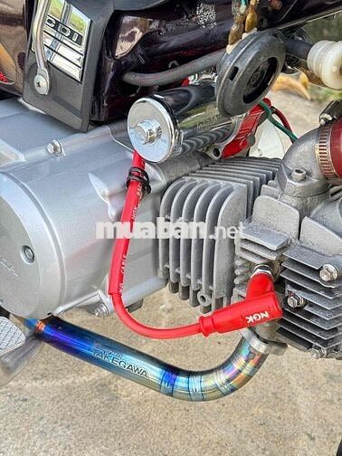 Honda Dream Thái 54 redleo